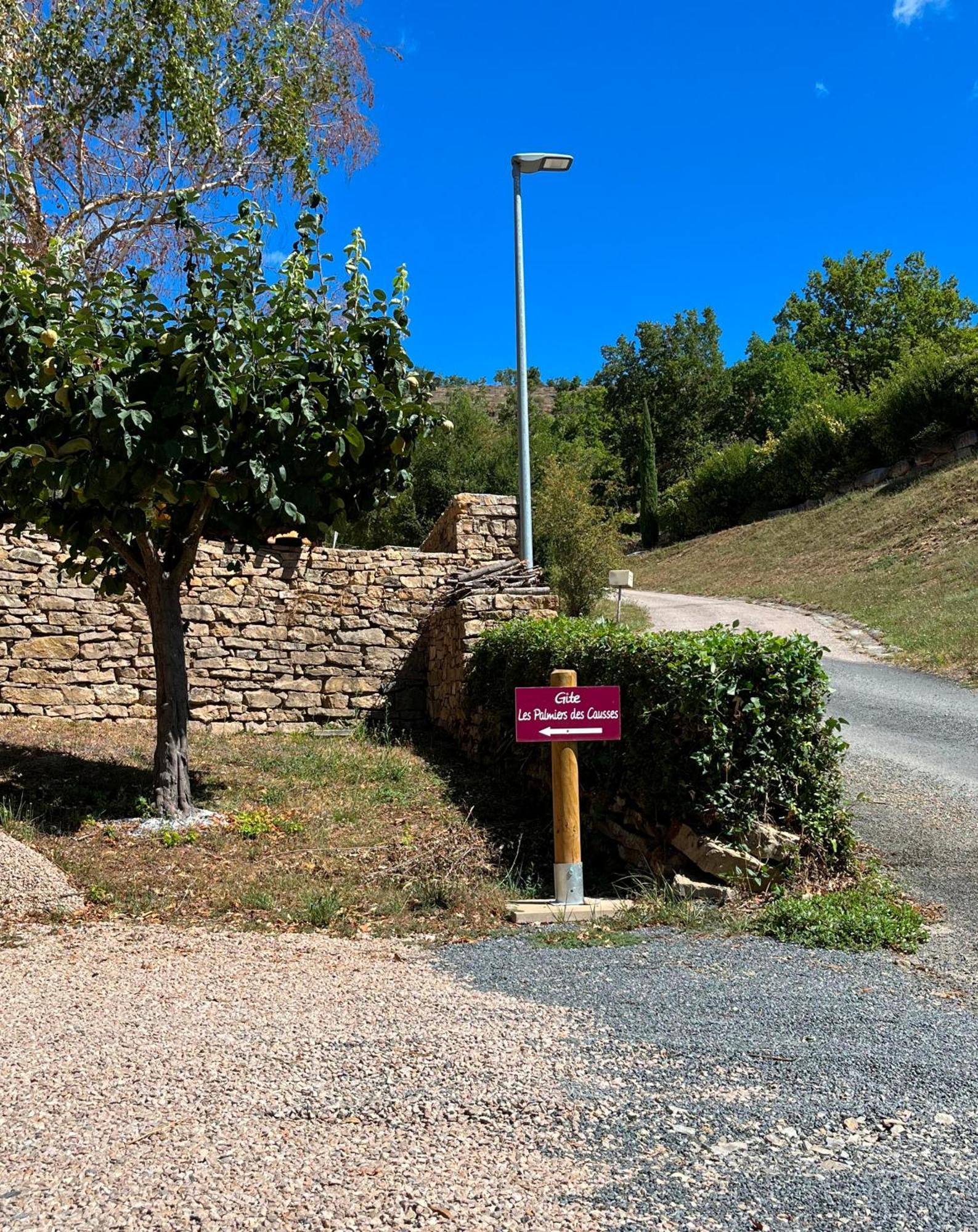 Les Palmiers Des Causses Villa Saint-Rome-de-Tarn Eksteriør billede